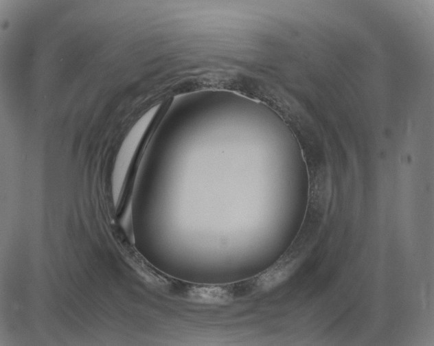 X0000083060137200702161806