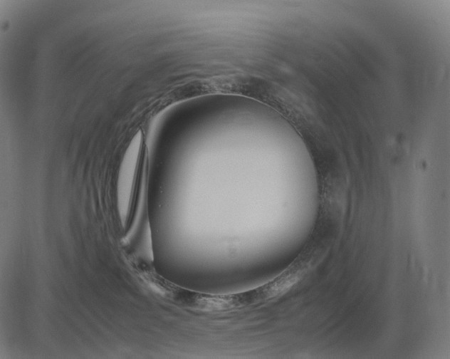 X0000083060139200702161806