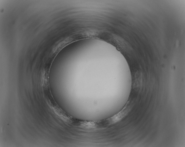 X0000083060140200702161806