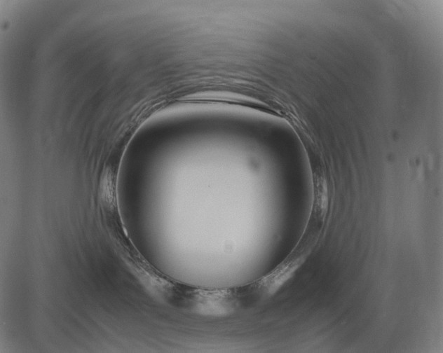 X0000083060143200702161806