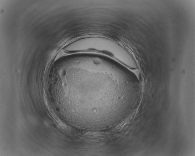 X0000083060145200702161805