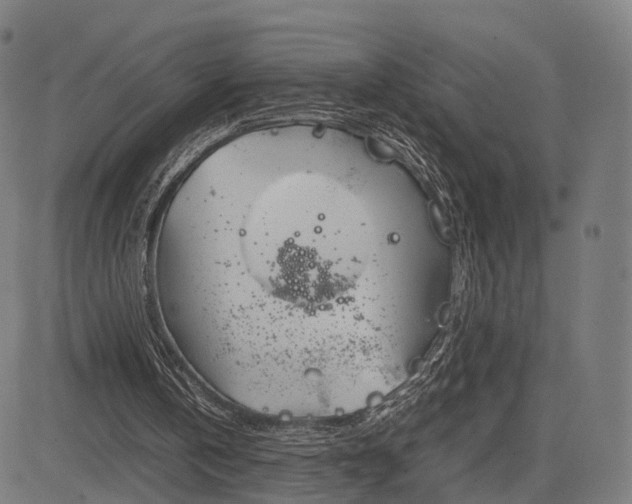 X0000083060146200702161805