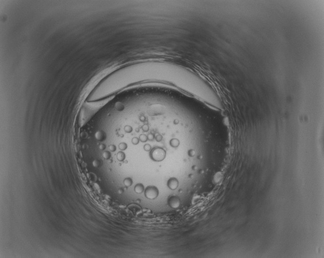 X0000083060147200702161805