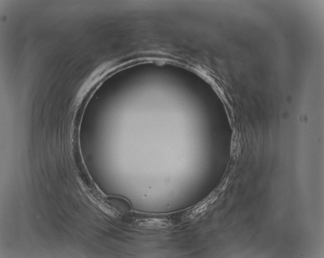 X0000083060151200702161805