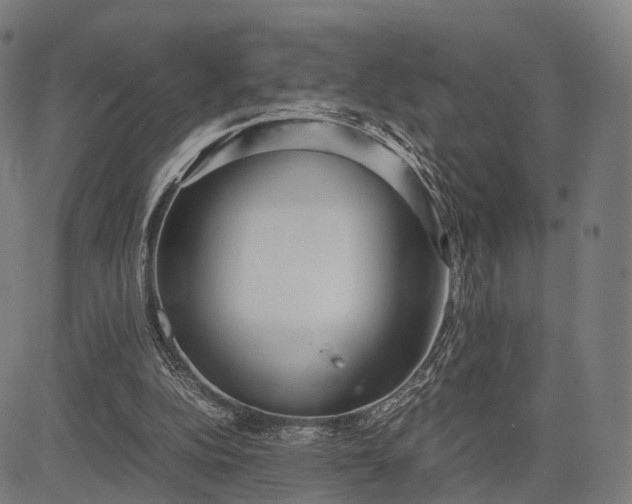 X0000083060152200702161805