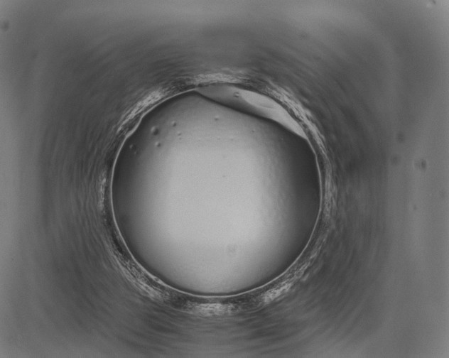 X0000083060153200702161805