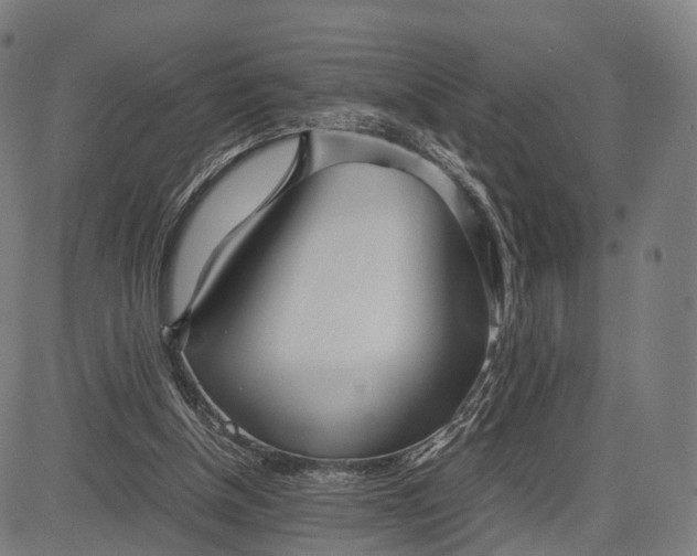 X0000083060154200702161805