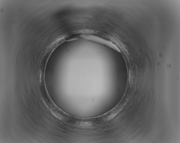 X0000083060157200702161805