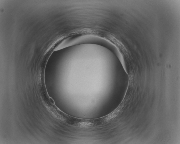 X0000083060158200702161805