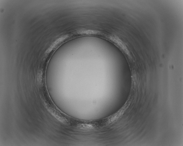 X0000083060159200702161805