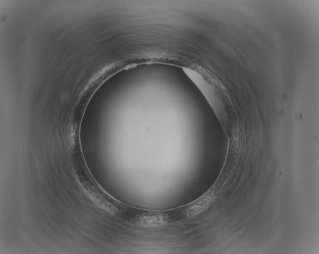 X0000083060160200702161805