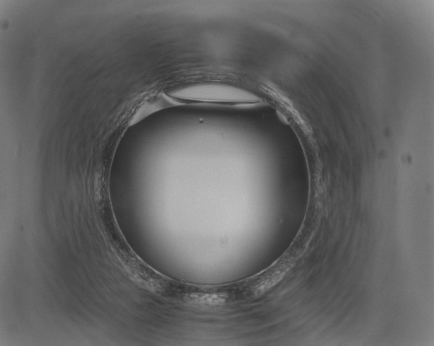 X0000083060161200702161805