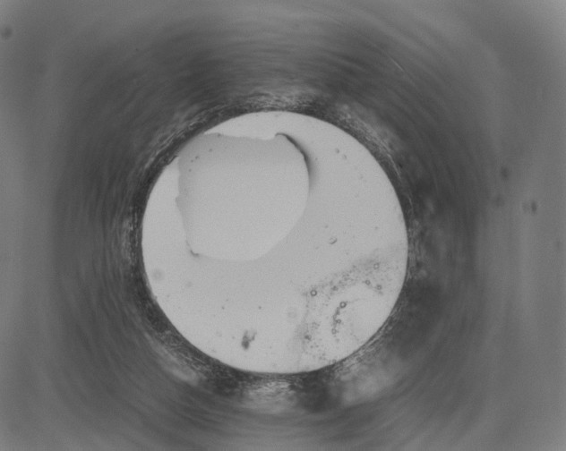 X0000083060162200702161805