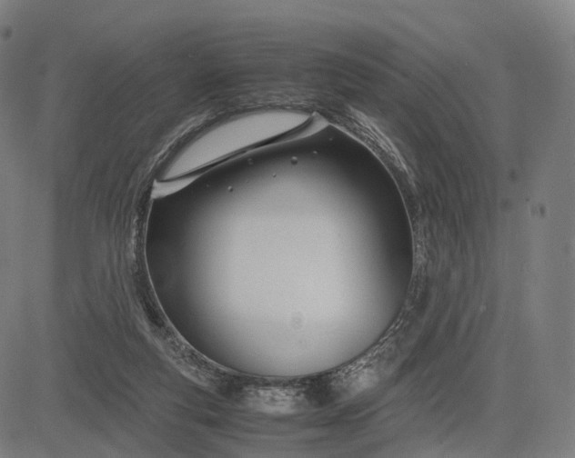 X0000083060163200702161805