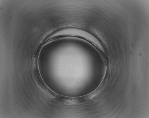 X0000083060164200702161805