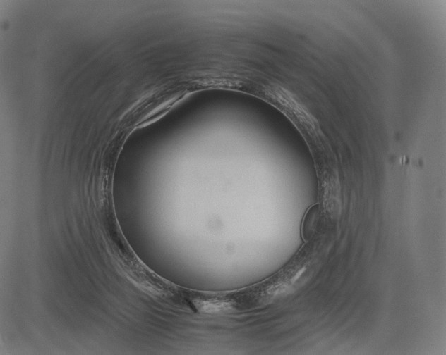 X0000083060165200702161805