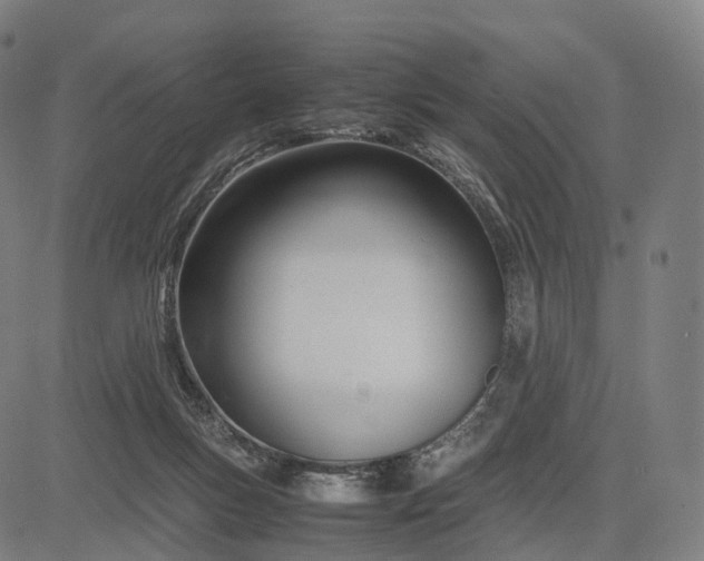 X0000083060167200702161805