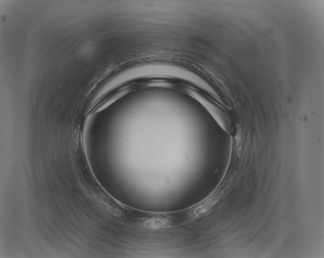 X0000083060168200702161805