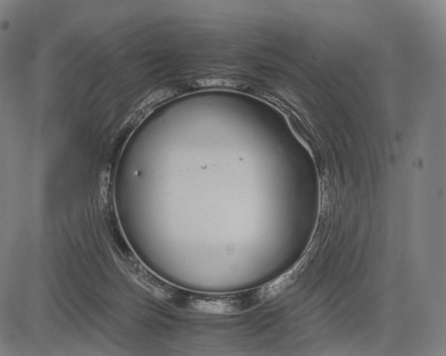 X0000083060171200702161805