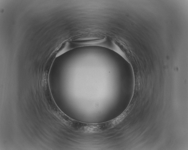 X0000083060172200702161805