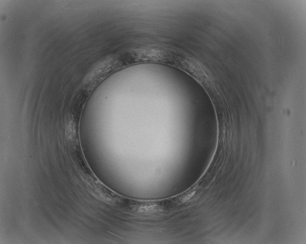 X0000083060173200702161805