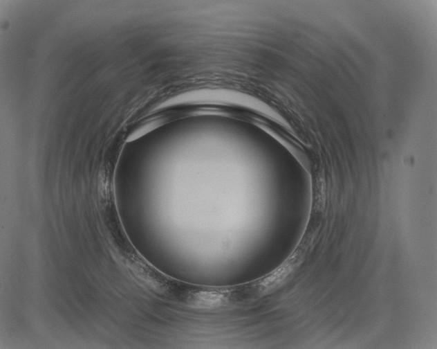 X0000083060176200702161805