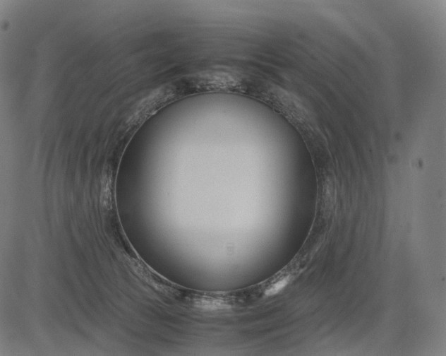 X0000083060177200702161805