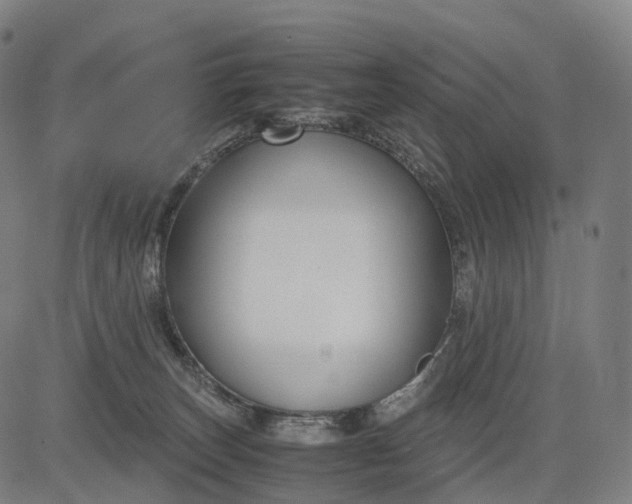 X0000083060179200702161805