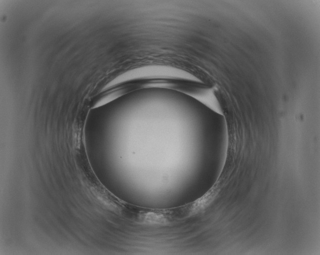 X0000083060180200702161805