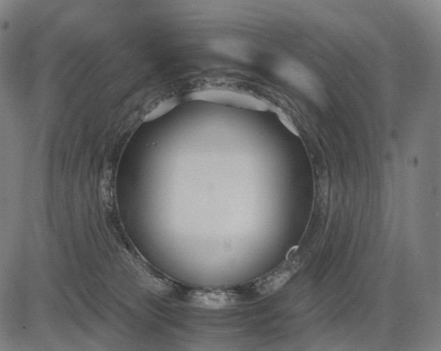 X0000083060181200702161805