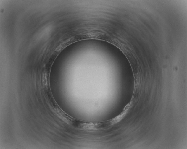 X0000083060182200702161806