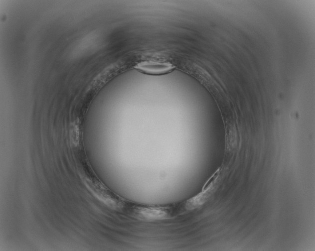 X0000083060183200702161806