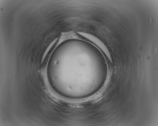 X0000083060185200702161806