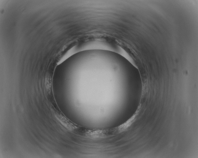 X0000083060186200702161806