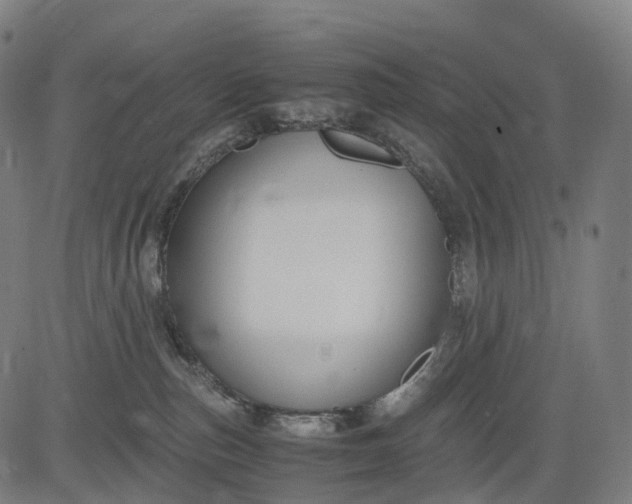 X0000083060187200702161806