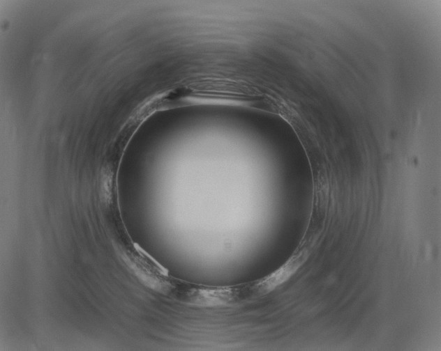 X0000083060188200702161806