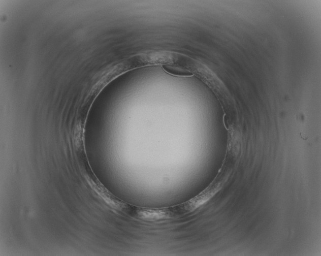 X0000083060189200702161806