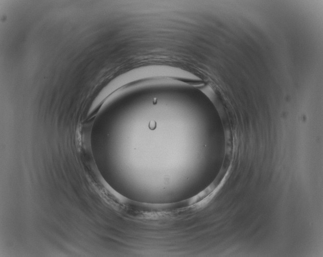 X0000083060190200702161806