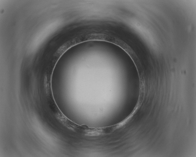 X0000083060191200702161806