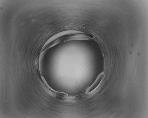 X0000083060192200702161806