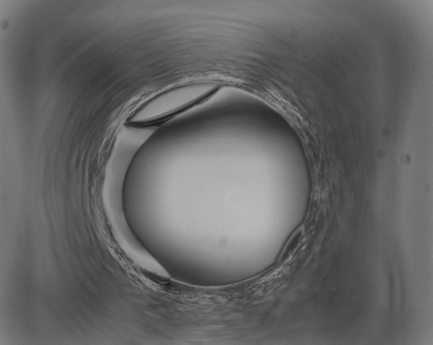 X0000083060193200702161805