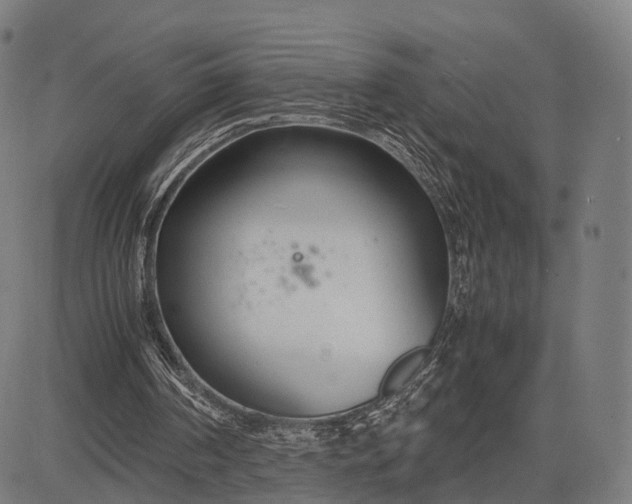 X0000083060194200702161805