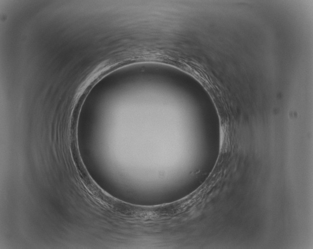 X0000083060195200702161805