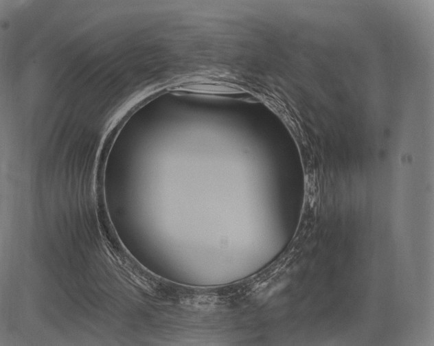 X0000083060196200702161805