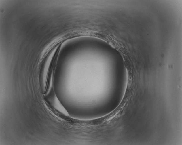 X0000083060197200702161805