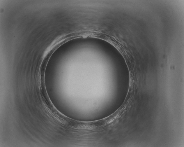 X0000083060198200702161805