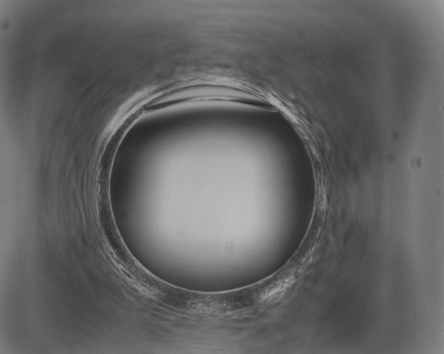 X0000083060199200702161805