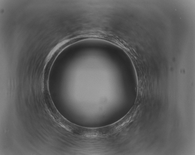 X0000083060200200702161805