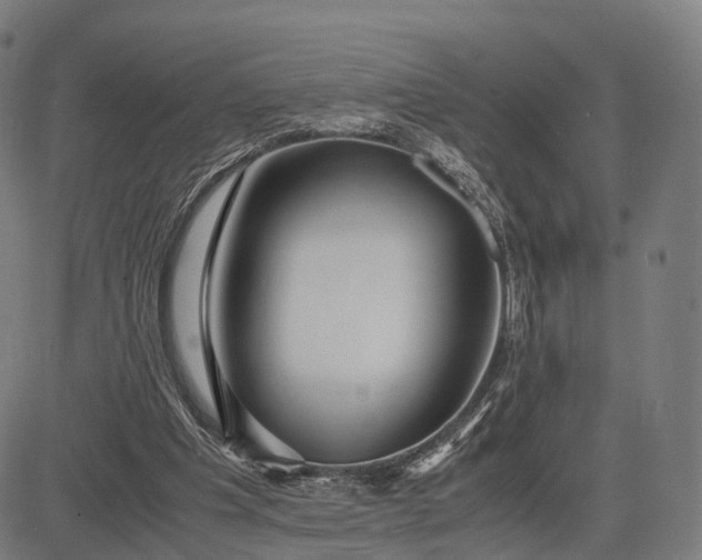 X0000083060201200702161805