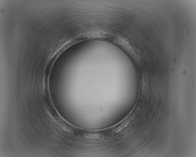 X0000083060202200702161805